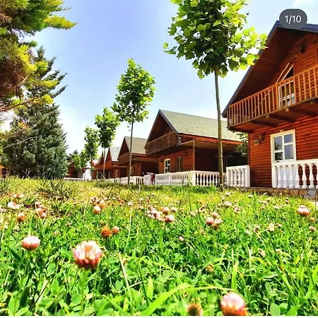 Valini Wooden House Villa *